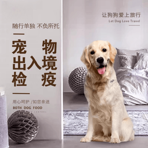 贵阳市宠物托运到哥伦比亚猫狗宠物入境规定和