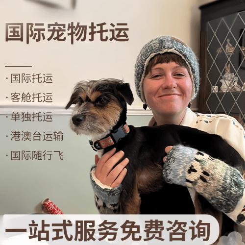 贵阳市国际宠物托运到阿根廷宠物入境规定和要