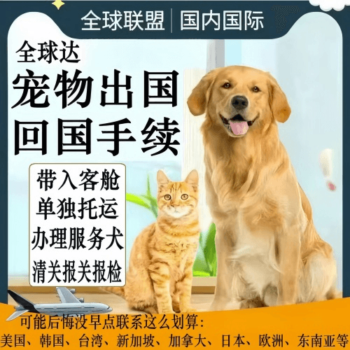 贵阳市宠物托运到柬埔寨宠物入境规定和要求
