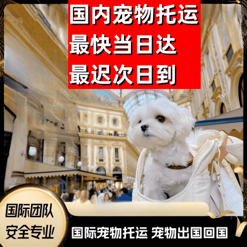 贵阳市到澳大利亚（澳洲）宠物入境规定和要求